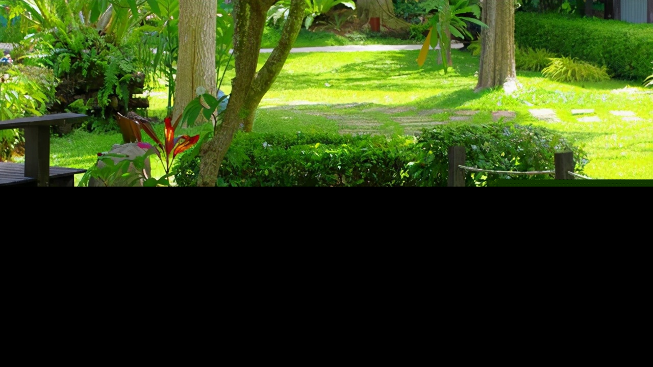 形容夏日的诗句有哪些（形容夏日的诗或词） 第1张