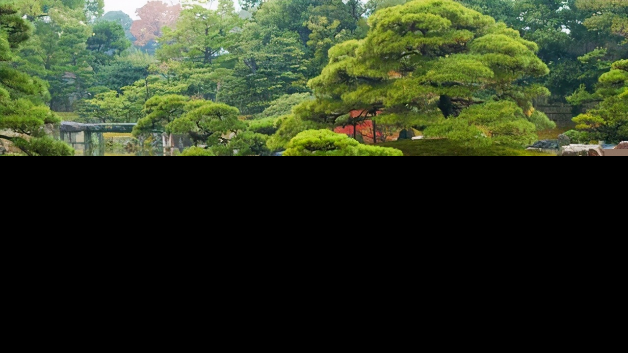 形容夏日的诗句有哪些（形容夏日的诗或词） 第9张
