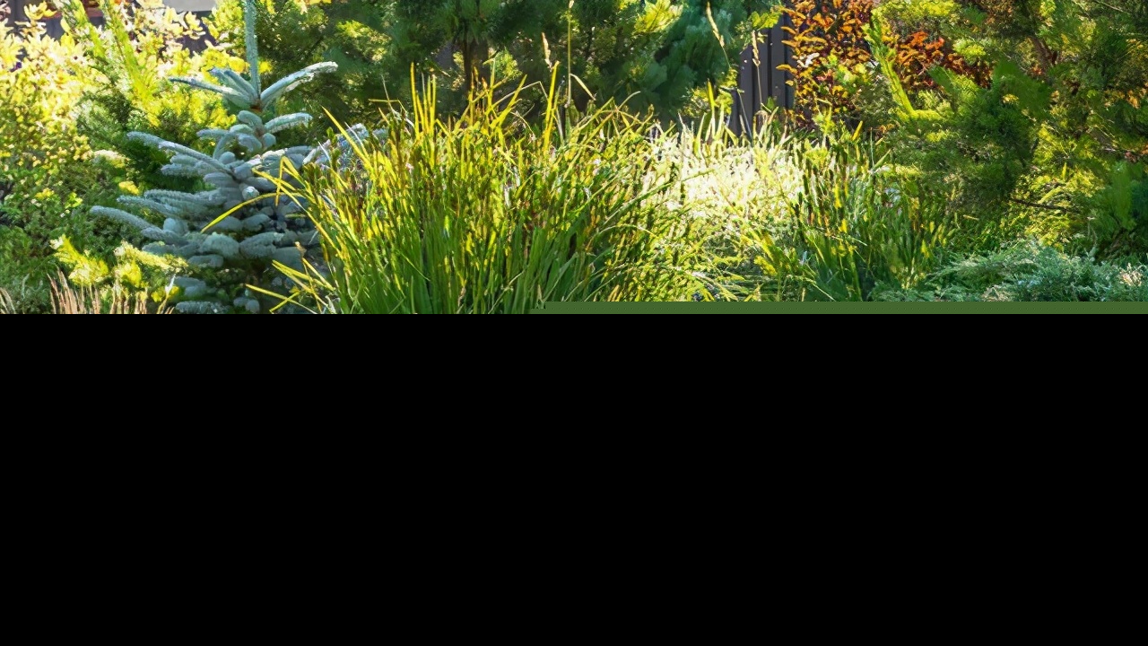 形容夏日的诗句有哪些（形容夏日的诗或词） 第13张