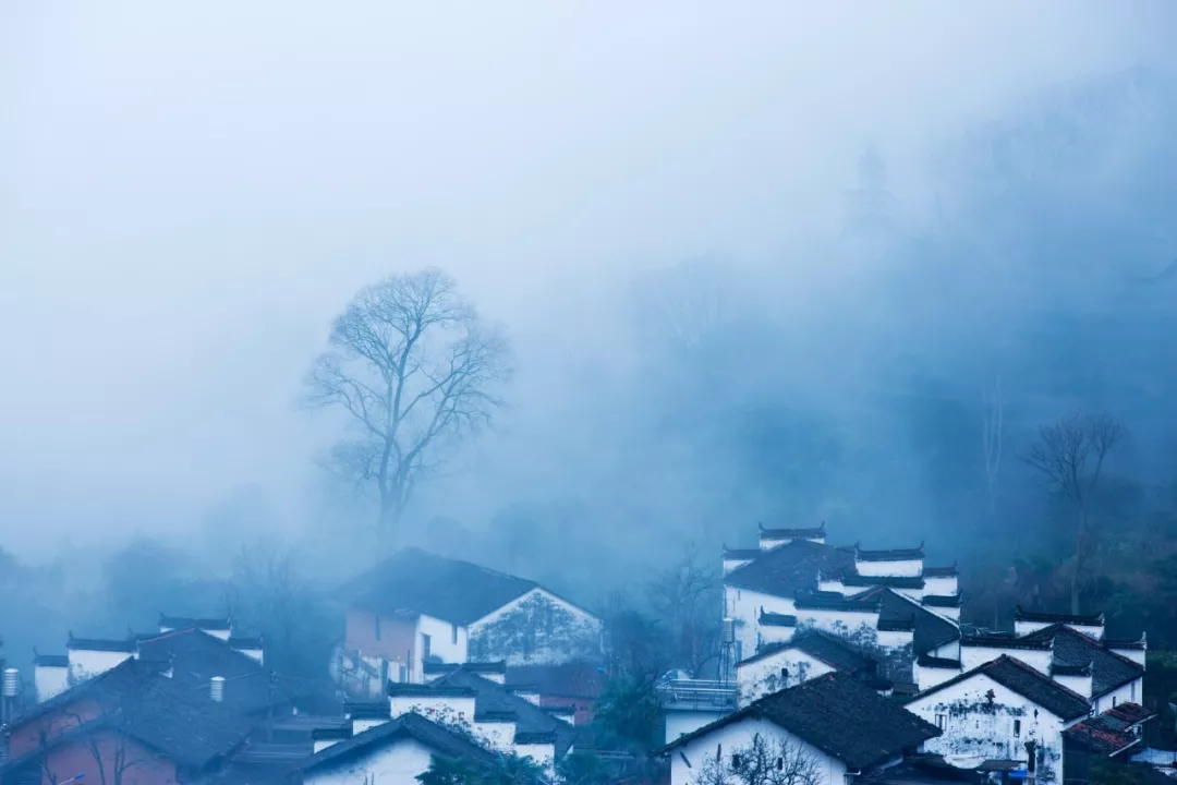 孤独的诗句有哪些（表达心情孤独寂寞的诗句） 第7张