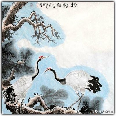 关于松树的诗句有哪些（赞美松树的古诗词欣赏） 第5张