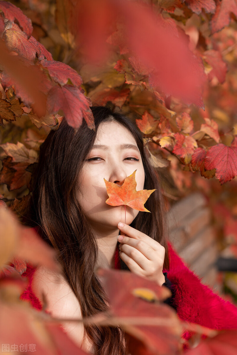 霜降的古诗都有哪些（霜降古诗词经典） 第5张