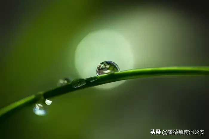 五字古诗唯美大全（冷门又惊艳的诗词鉴赏） 第7张