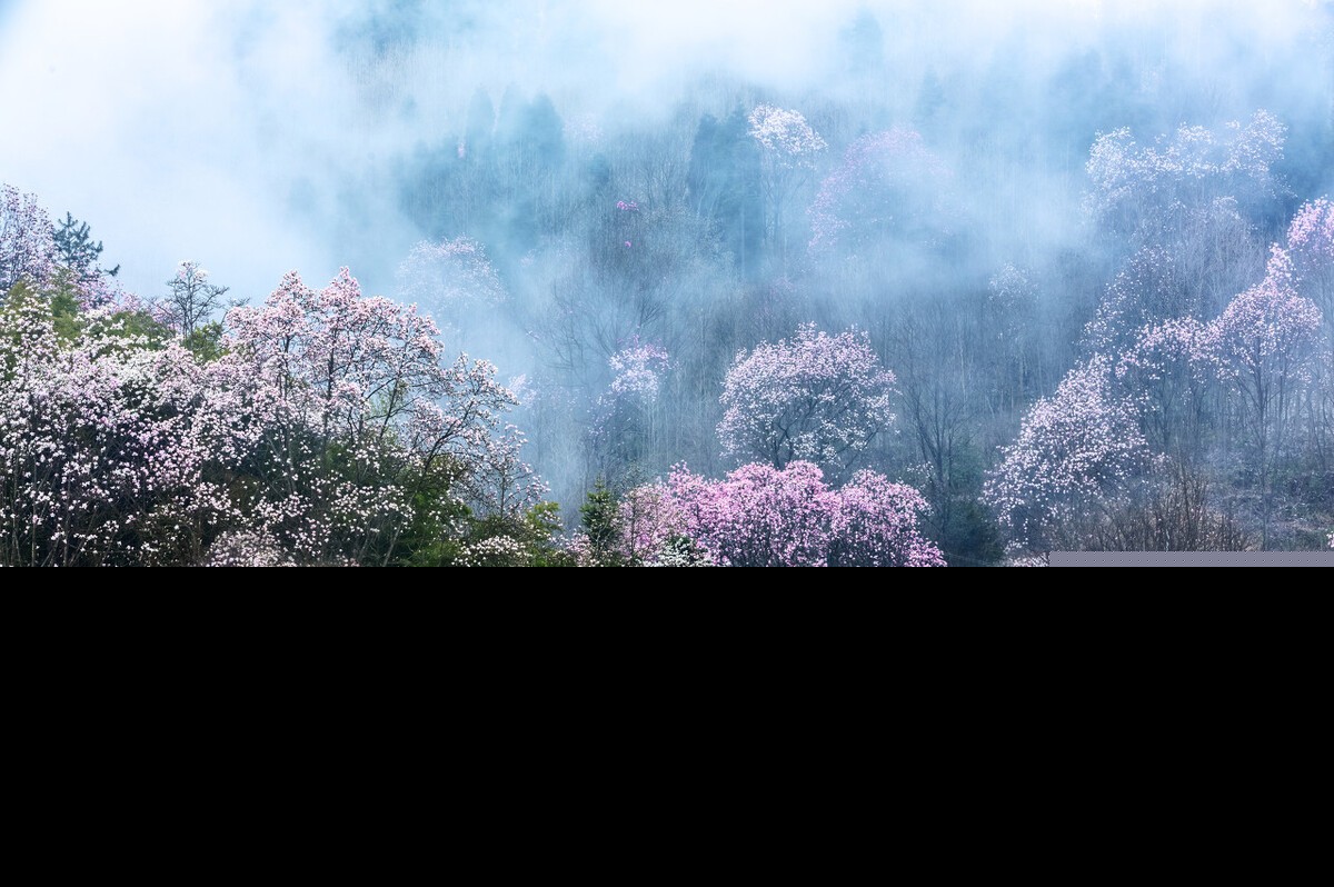 描写踏春的诗句有哪些（描写踏春的诗句） 第7张