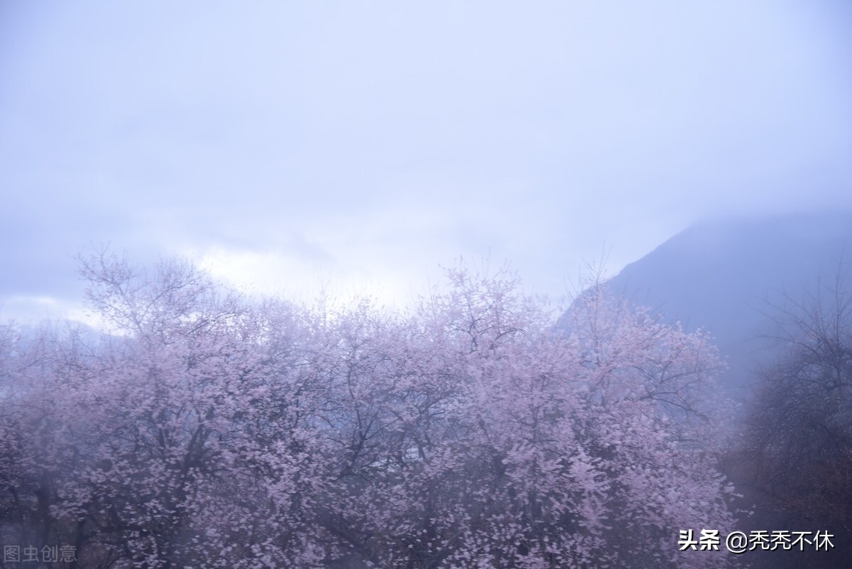描写的诗句有哪些（有关描写景物的古诗） 第5张