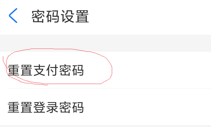 支付宝支付密码忘了怎么办 第11张