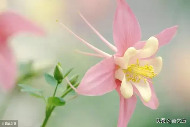 0-108岁年龄称谓，知道一半算你厉害！ 第29张