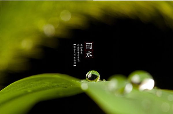 雨水节气古诗词大全（关于雨水的古诗） 第23张