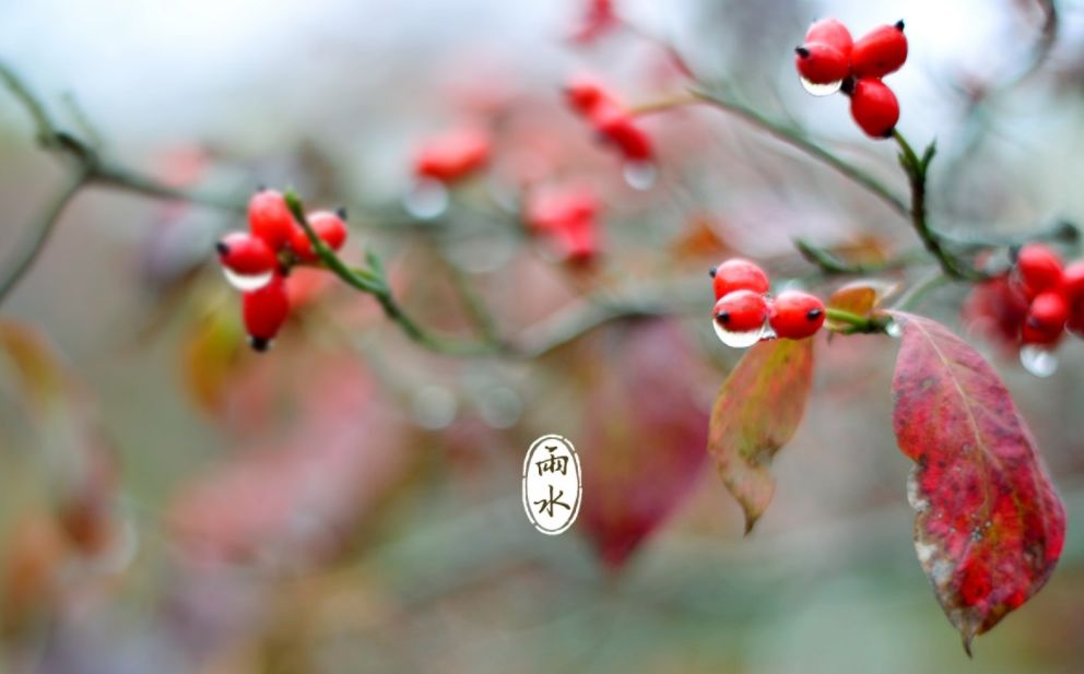 雨水节气古诗词大全（关于雨水的古诗） 第29张
