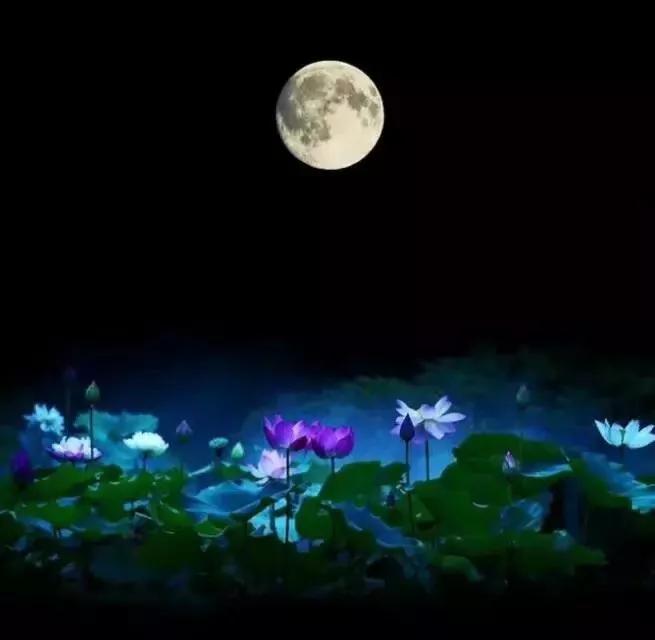带有月的诗句有哪些（带有月字的古诗） 第7张