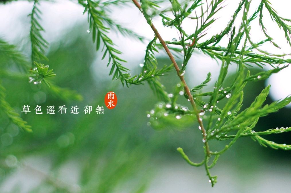 雨水节气古诗词大全（关于雨水的古诗） 第59张