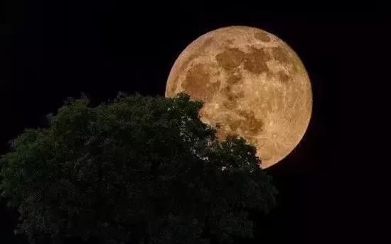 带有月的诗句有哪些（带有月字的古诗） 第13张