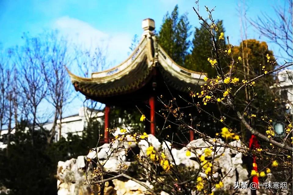 关于腊八节的短句子（腊八节经典语录） 第1张
