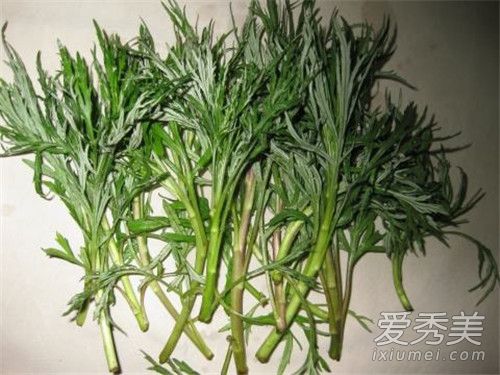 柳蒿芽是什么 柳蒿芽的功效与作用 第3张