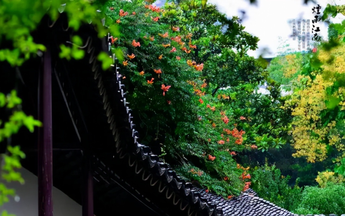 春雨的描写唯美句子（描写春雨的古诗词欣赏） 第5张