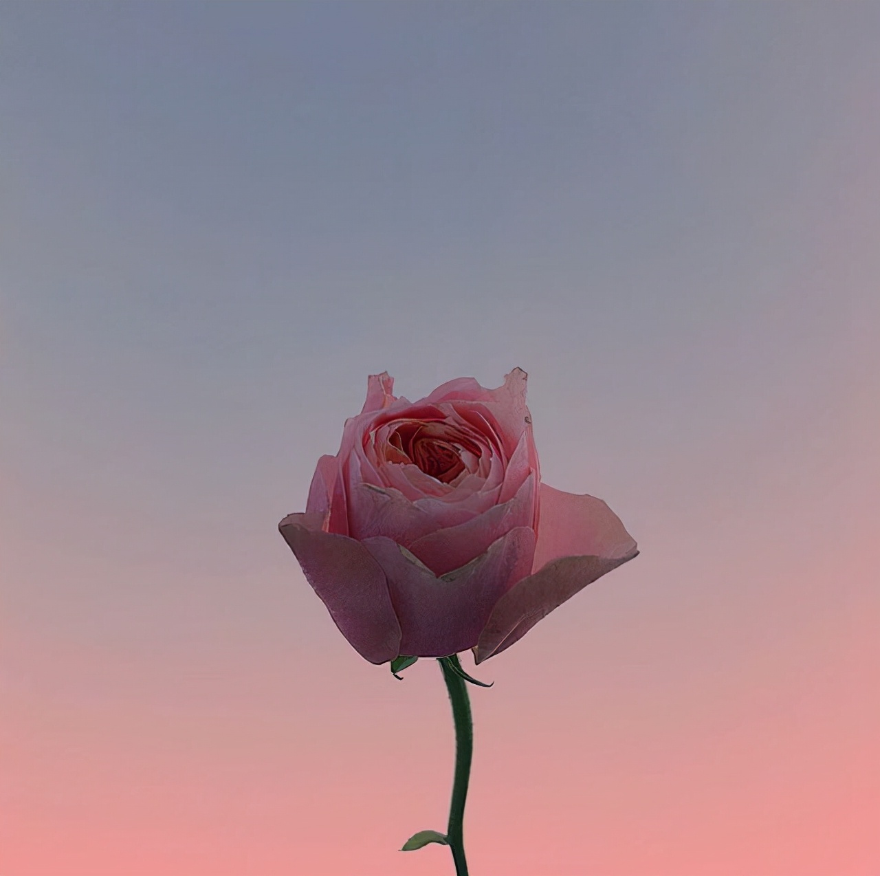 愿往后余生的暖心句子（往后余生的经典语录） 第3张