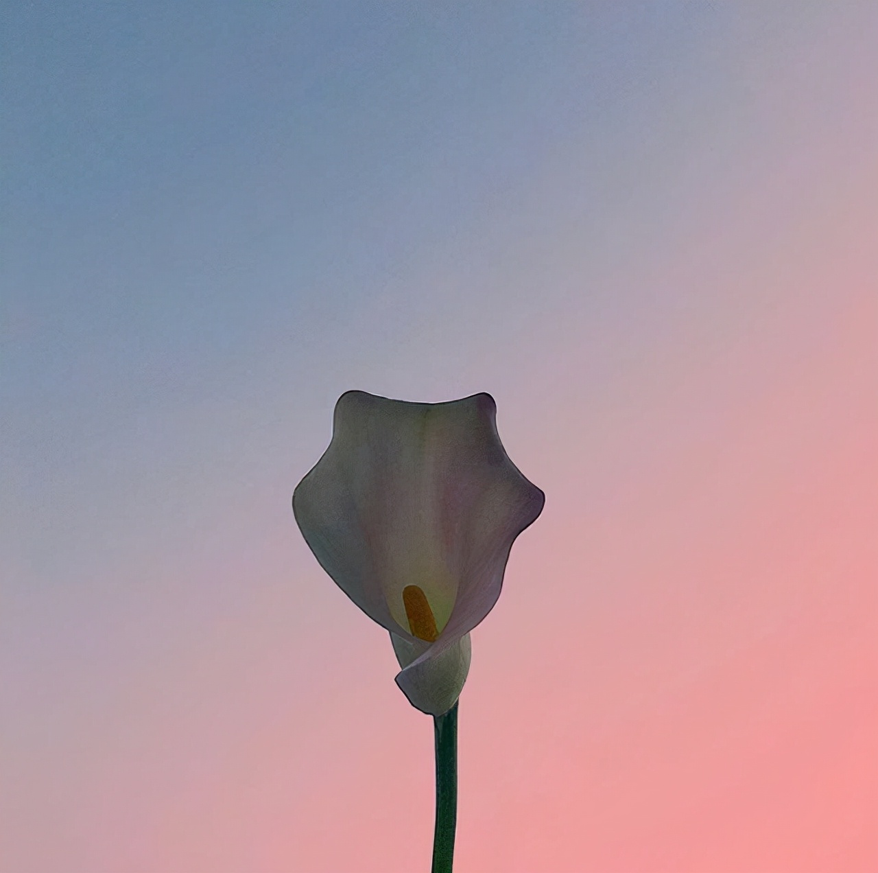 愿往后余生的暖心句子（往后余生的经典语录） 第5张