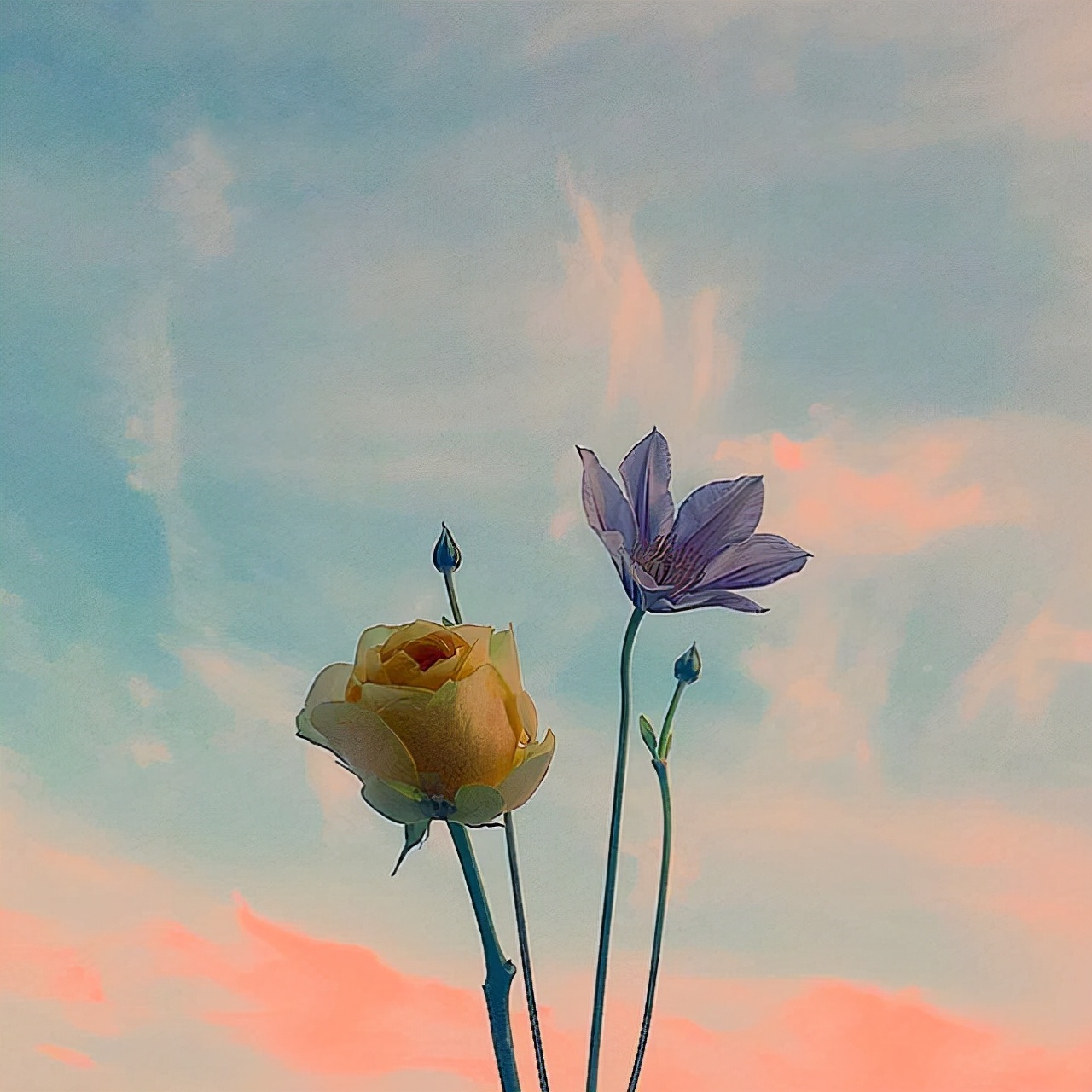 愿往后余生的暖心句子（往后余生的经典语录） 第7张