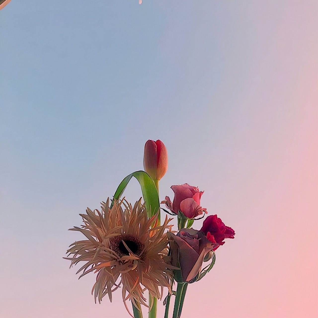 愿往后余生的暖心句子（往后余生的经典语录） 第9张