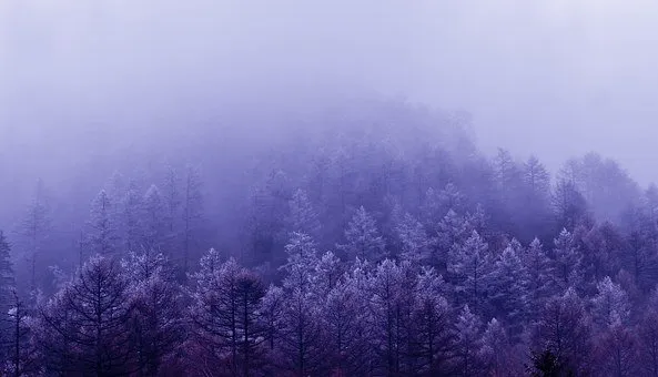 清明节诗句经典古诗（清明节寄托哀思的语句） 第11张
