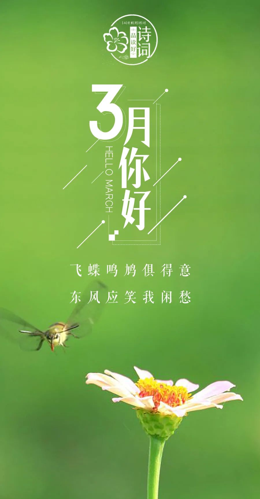 形容三月春光好的诗句（三月的诗词唯美描写） 第1张