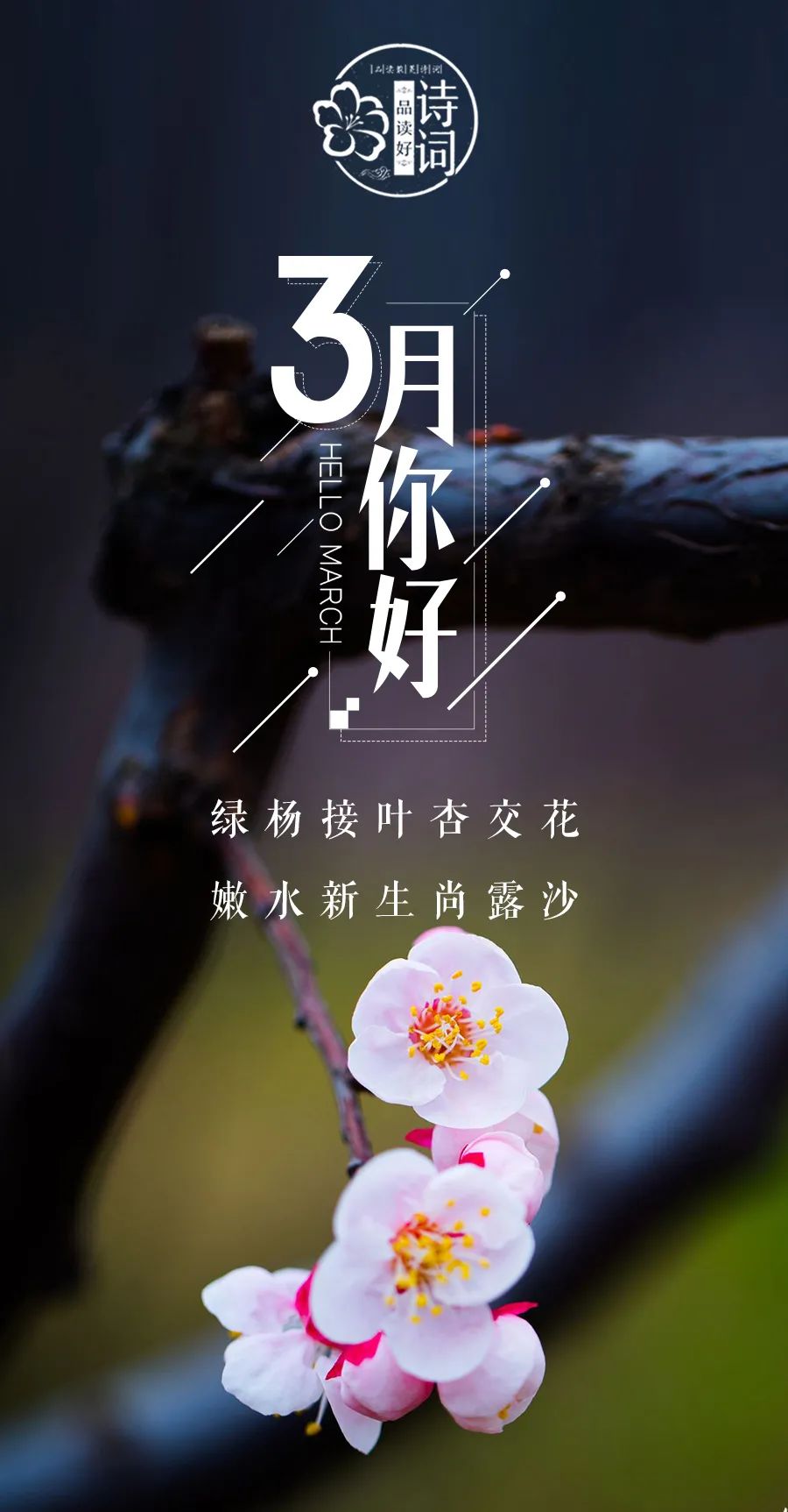 形容三月春光好的诗句（三月的诗词唯美描写） 第3张