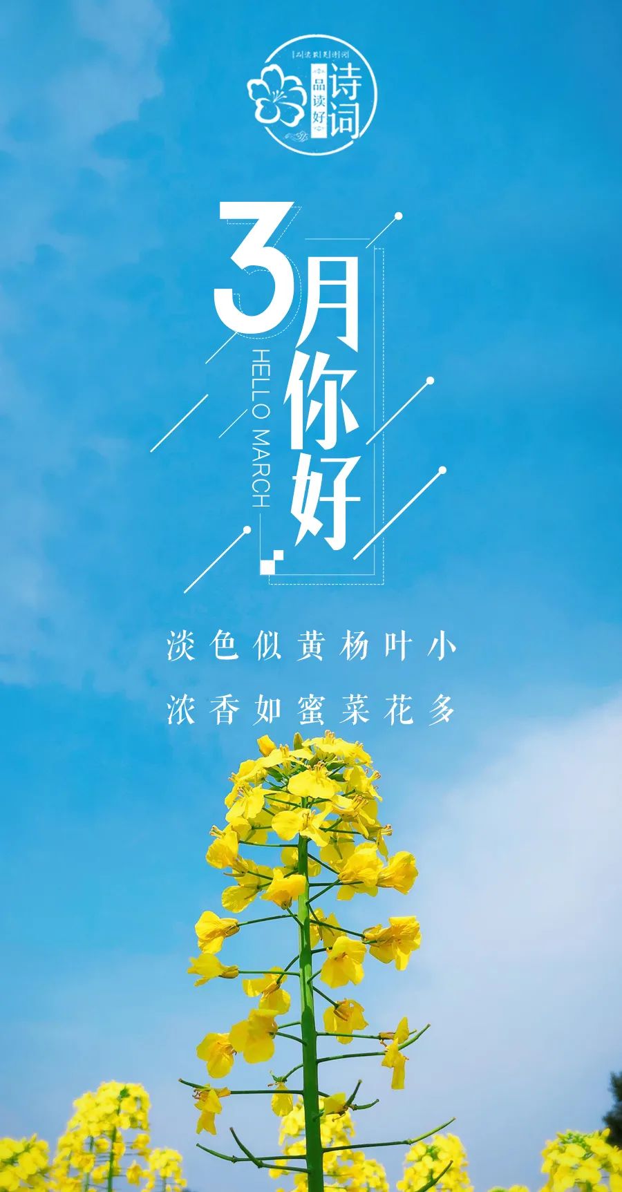 形容三月春光好的诗句（三月的诗词唯美描写） 第7张