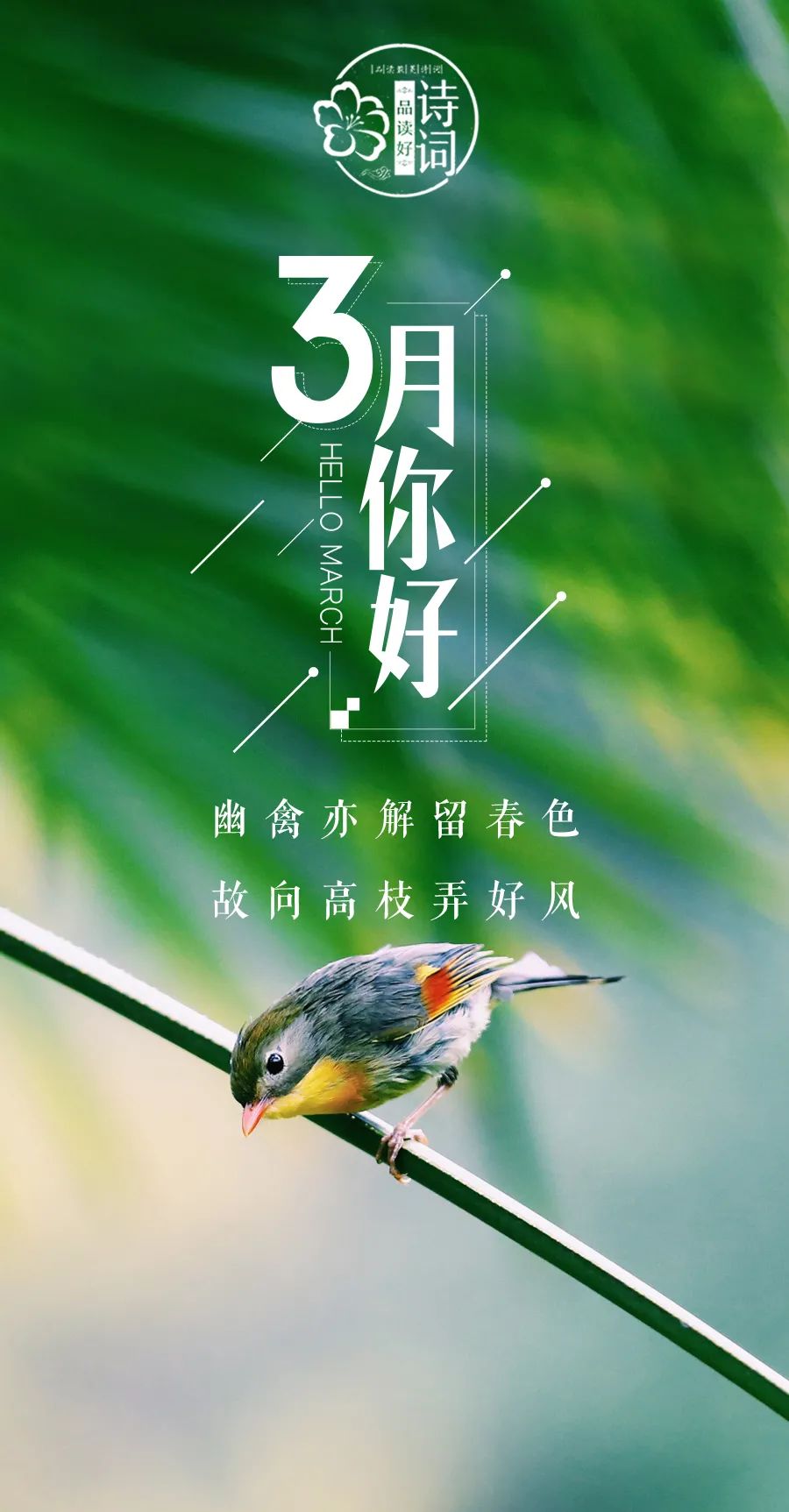 形容三月春光好的诗句（三月的诗词唯美描写） 第9张