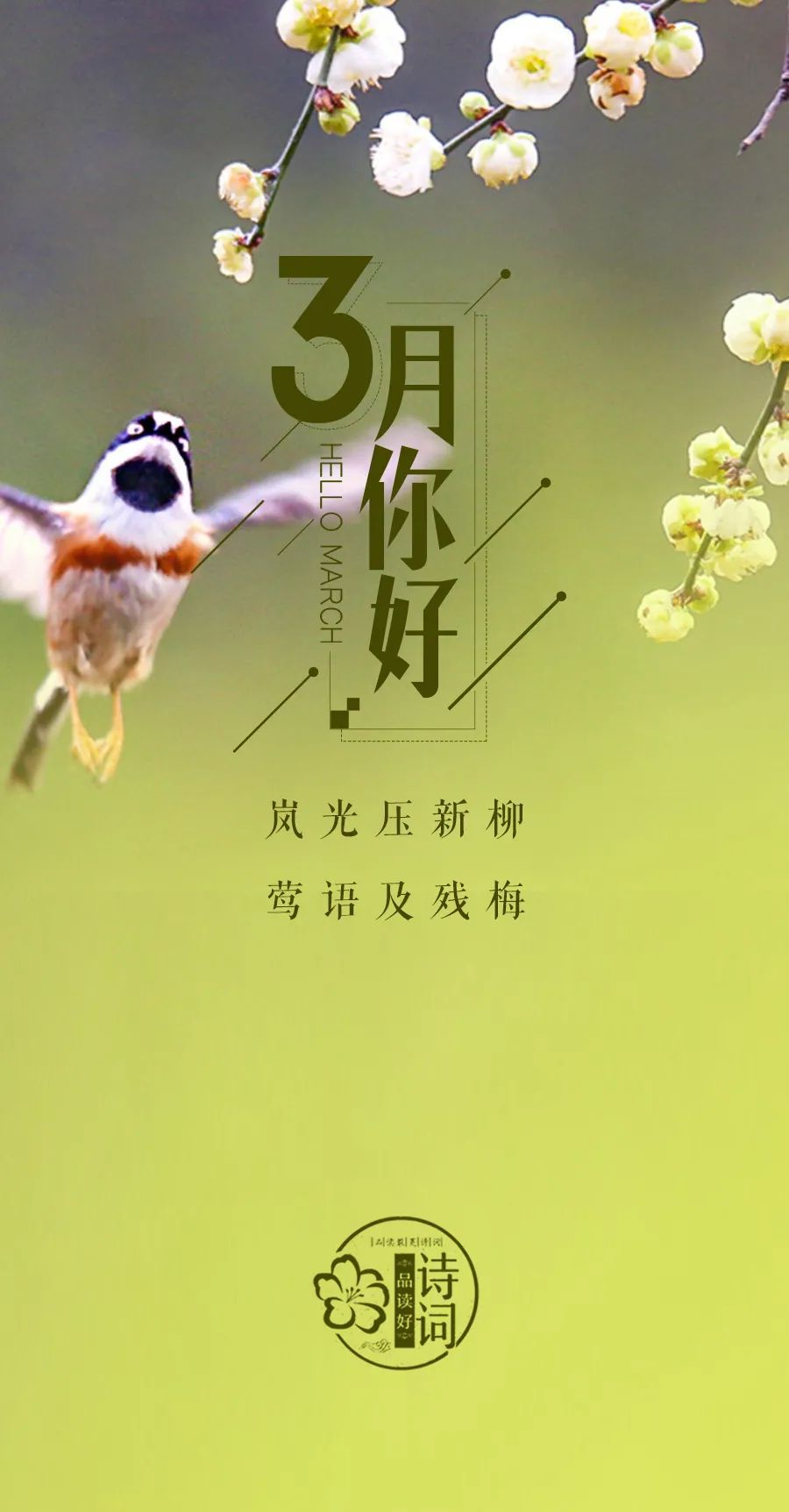 形容三月春光好的诗句（三月的诗词唯美描写） 第11张