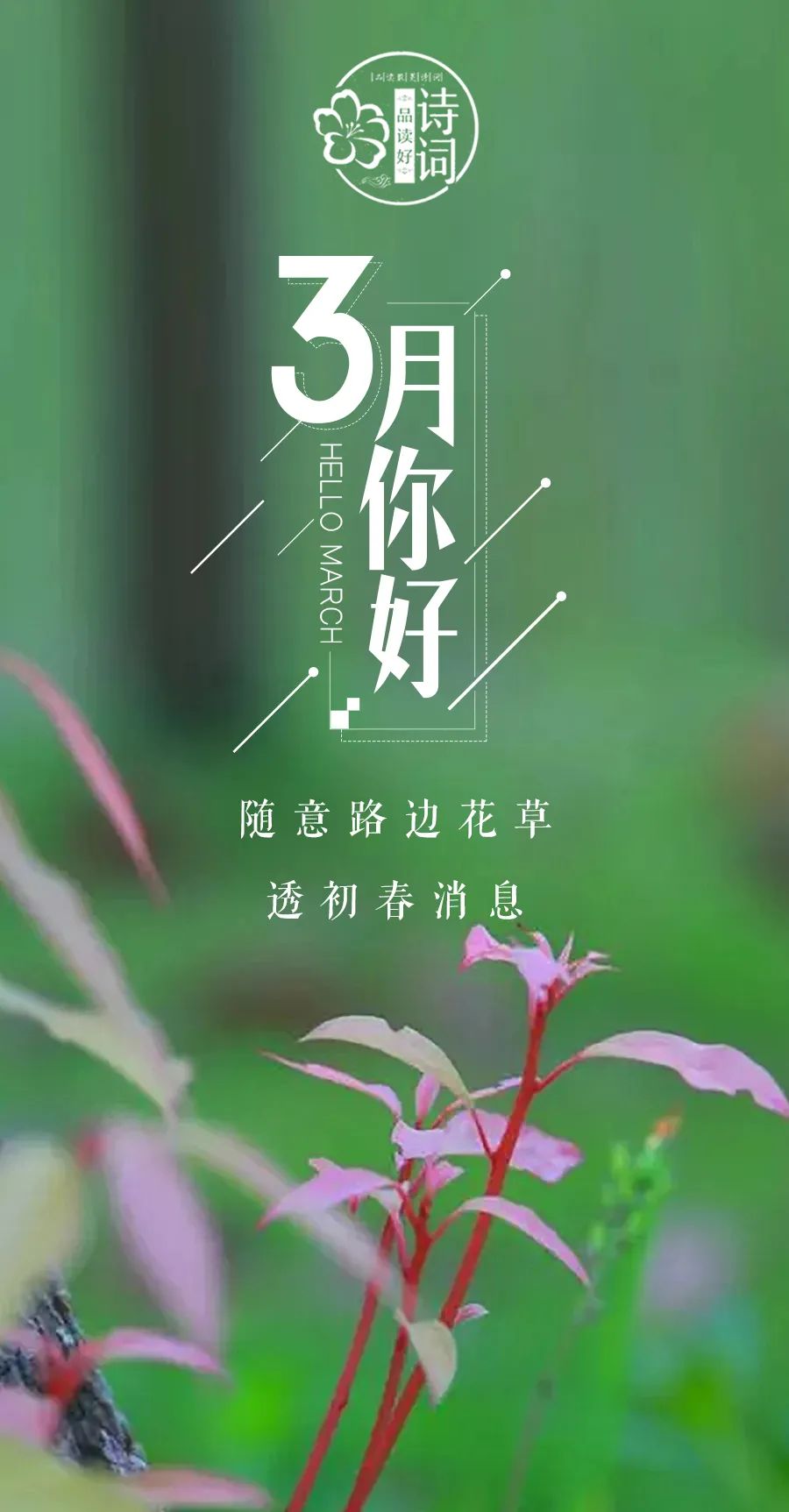 形容三月春光好的诗句（三月的诗词唯美描写） 第13张