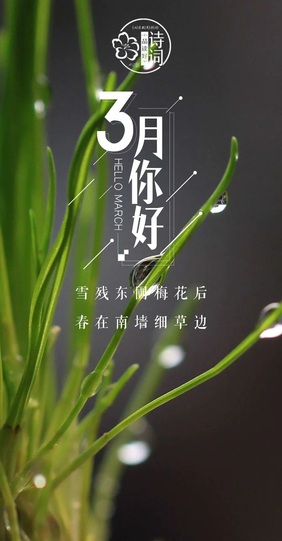 形容三月春光好的诗句（三月的诗词唯美描写） 第15张