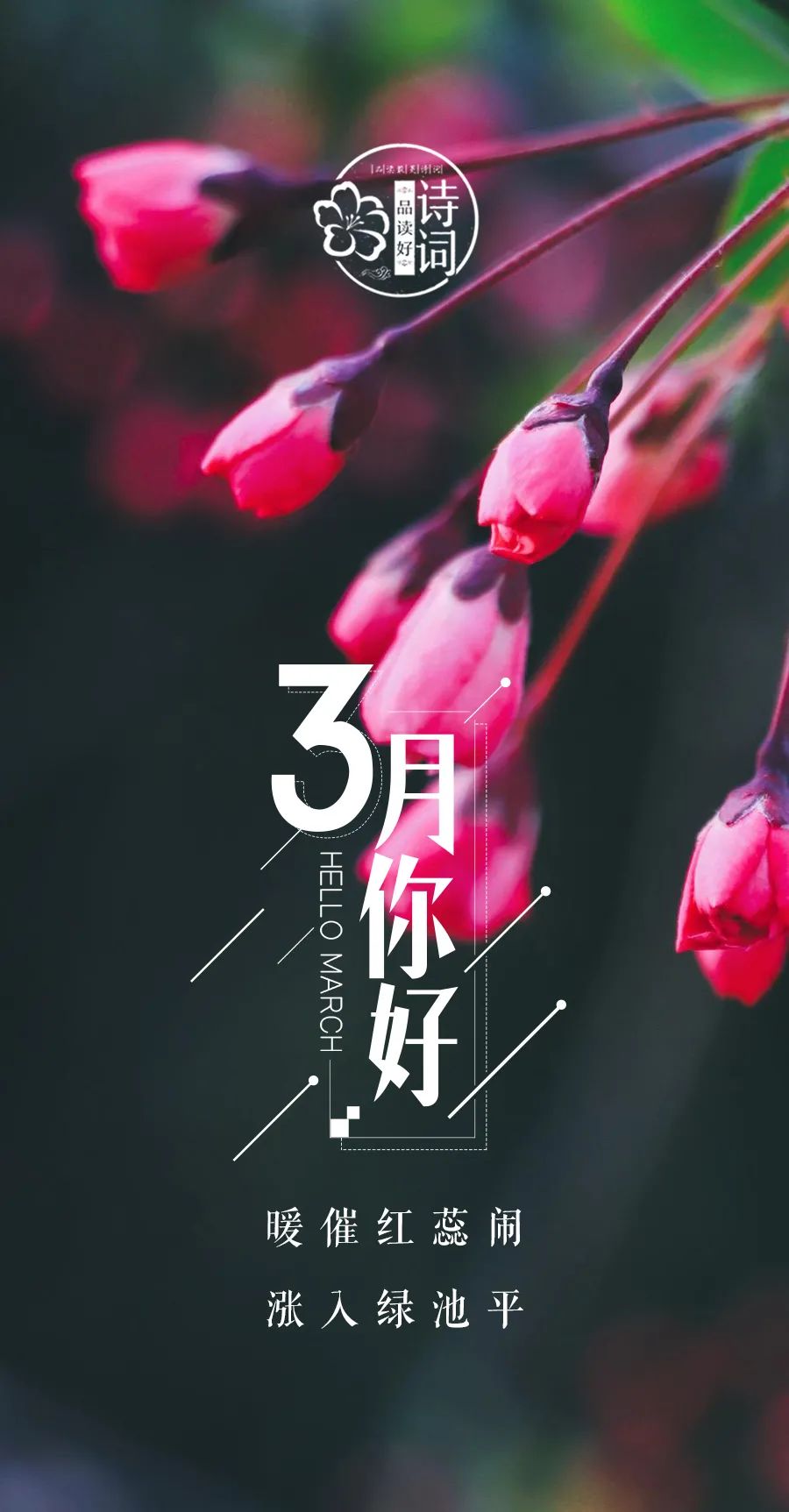 形容三月春光好的诗句（三月的诗词唯美描写） 第17张