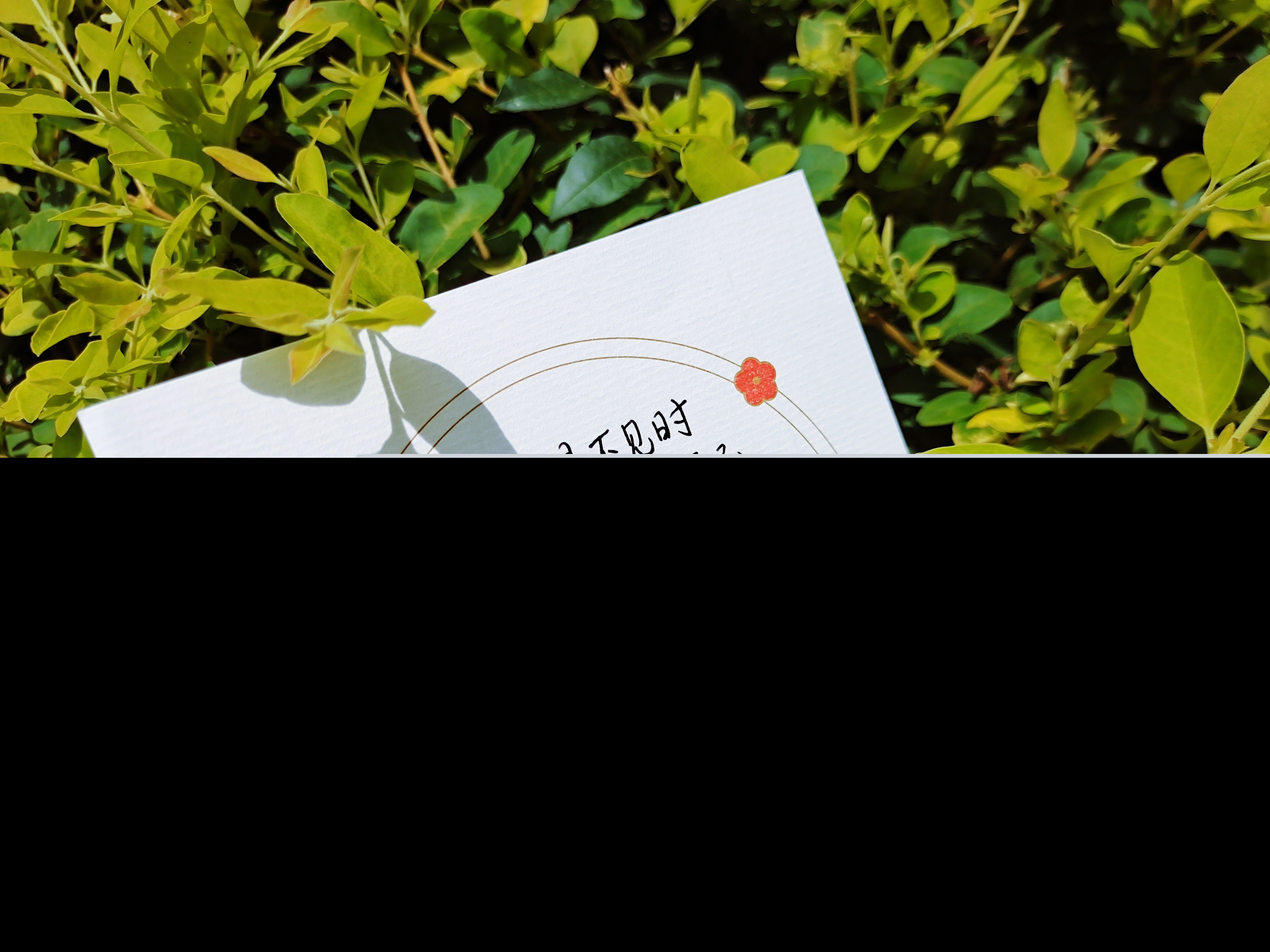 让闺蜜感动到哭的留言（最甜最暖心的短句闺蜜） 第1张