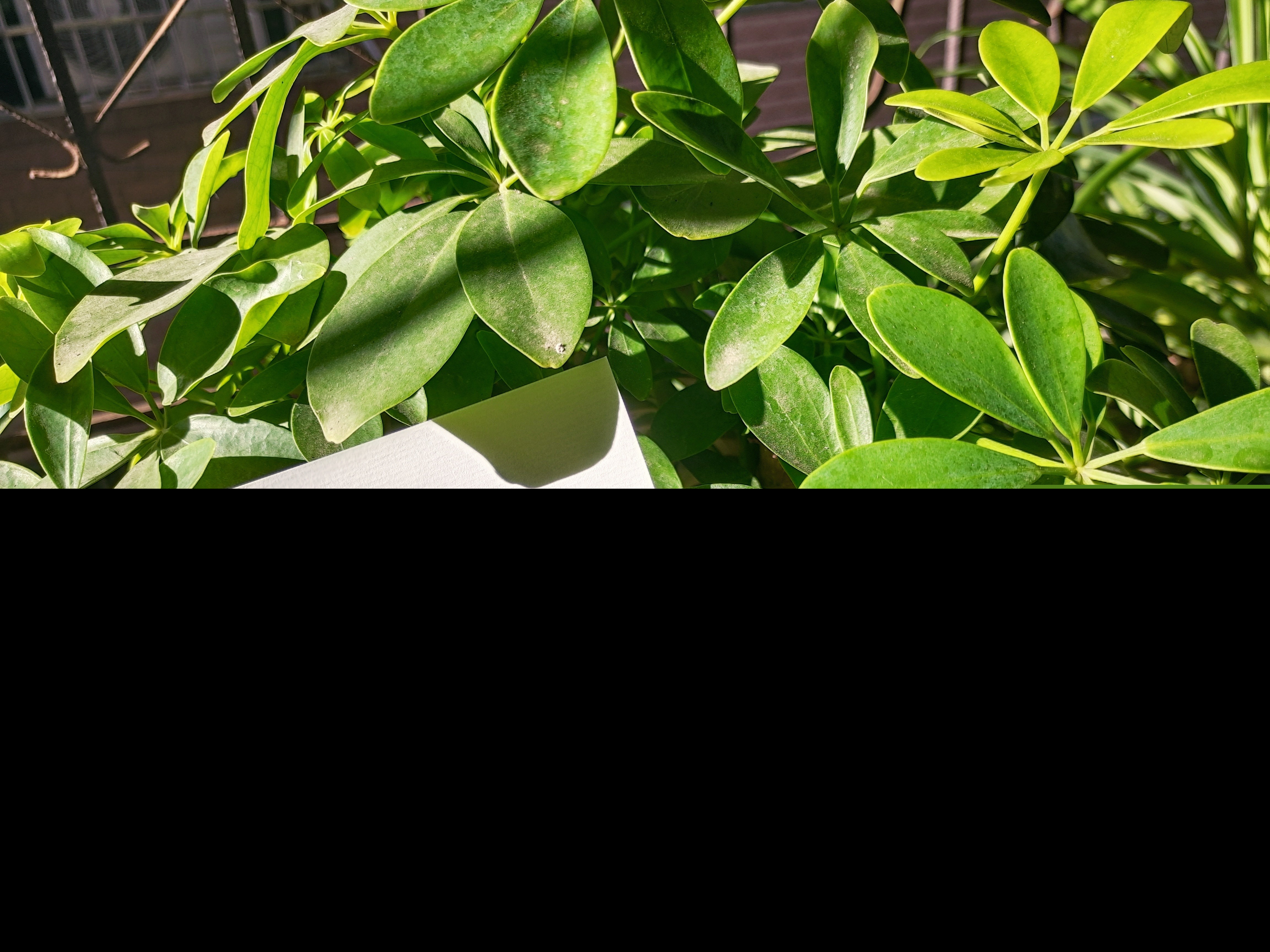 让闺蜜感动到哭的留言（最甜最暖心的短句闺蜜） 第7张