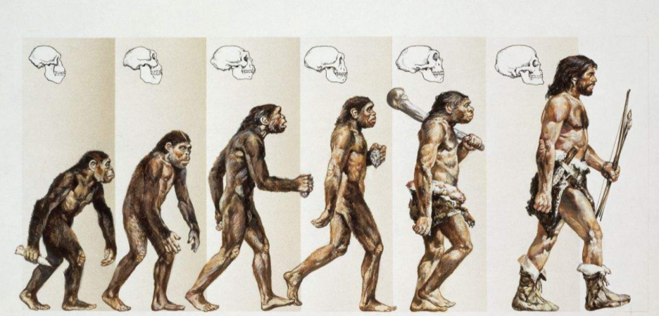 人类仍在进化！2020年研究：手臂长出新血管，会永久进化吗？ 第1张