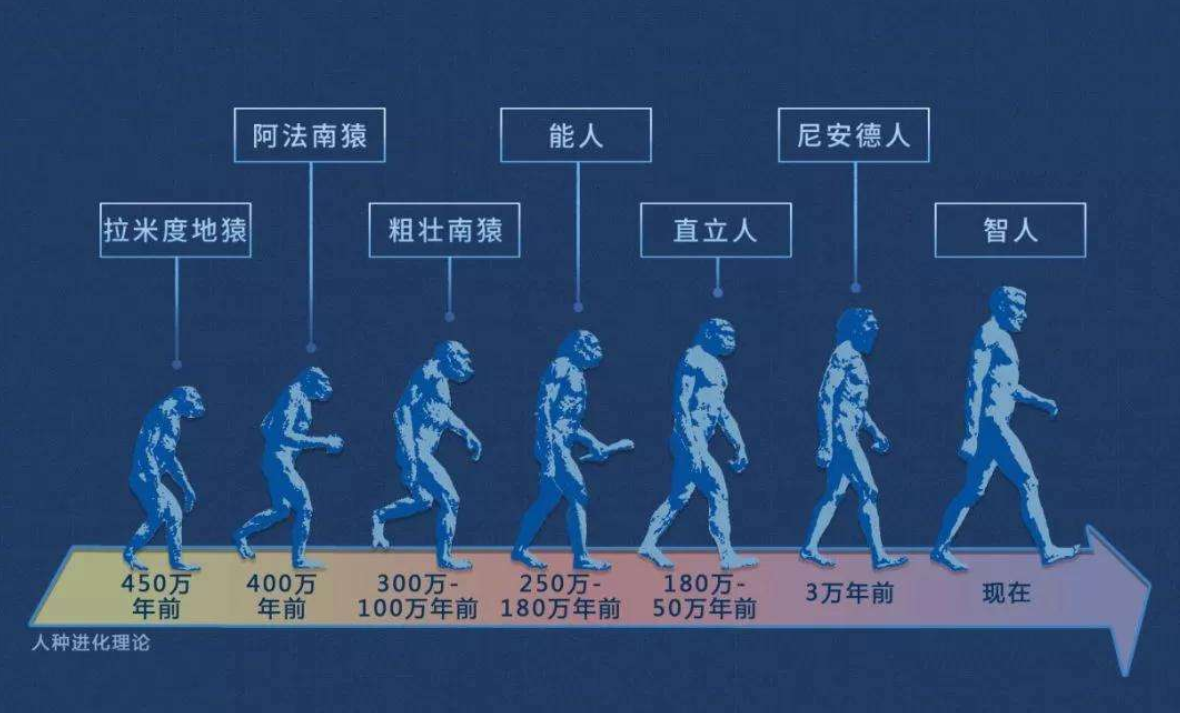 人类仍在进化！2020年研究：手臂长出新血管，会永久进化吗？ 第7张