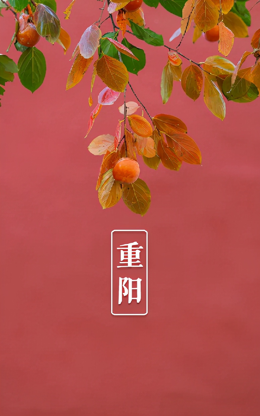 关于重阳节的诗句有什么（描写重阳节的古诗词欣赏） 第25张