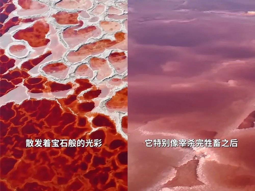 当三个调查记者跑去做“滤镜粉碎机” 第5张