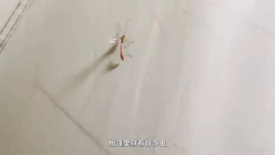 当三个调查记者跑去做“滤镜粉碎机” 第25张