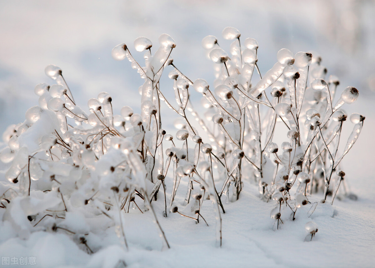 描写大雪的句子有哪些（雪景感悟短句） 第11张
