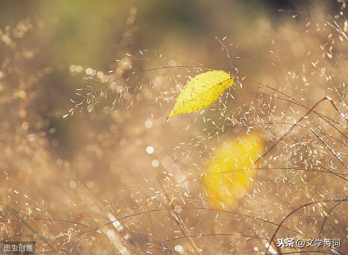 八声甘州对潇潇暮雨洒江天（八声甘州原文及翻译赏析） 第3张