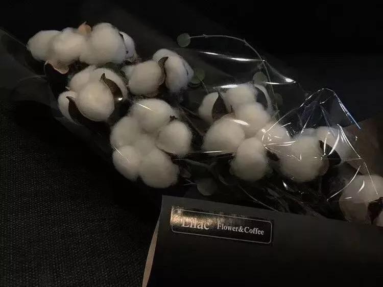 清明节的思念诗歌（简短清明节文案） 第7张