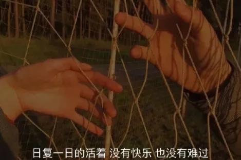 清明节的思念诗歌（简短清明节文案） 第9张