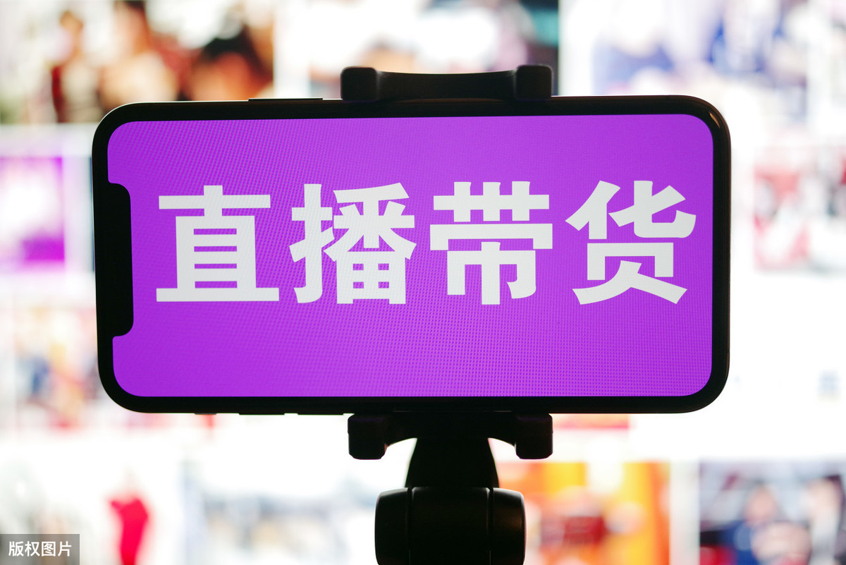 罗永浩直播案例分析出电商直播带货的成长模式 第5张