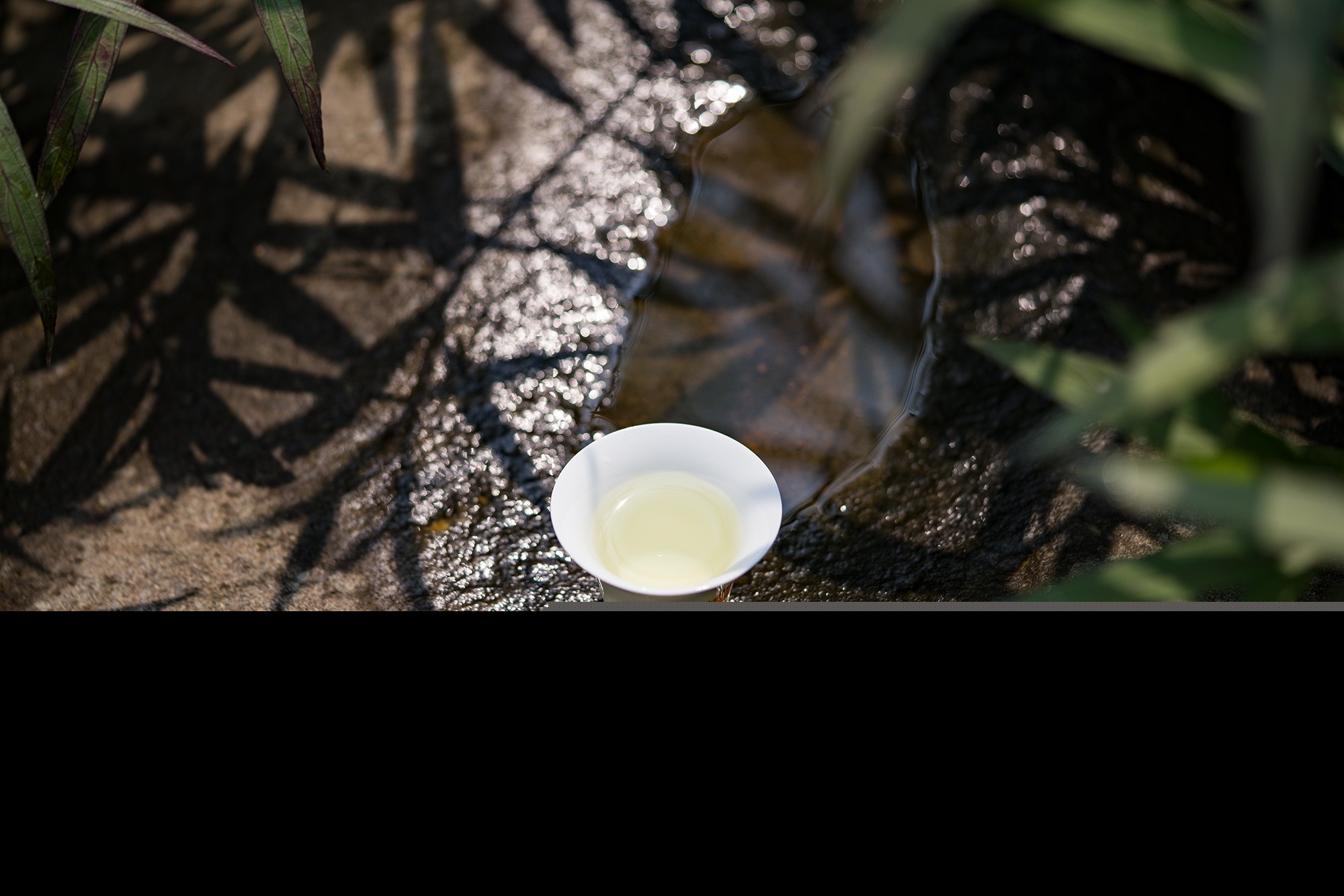 茶语人生经典句子（茶与人生的感悟） 第15张