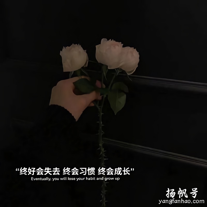 2020最火朋友圈背景图 tpo4#朋友圈壁纸图# 第11张