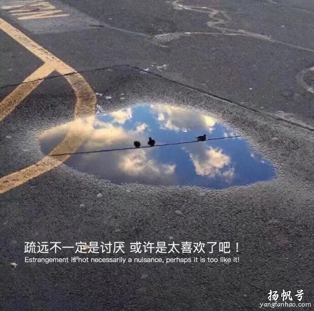 2020最火朋友圈背景图 tpo4#朋友圈壁纸图# 第15张