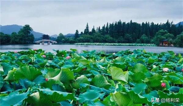 西湖古诗大全（关于西湖的古诗分享） 第3张