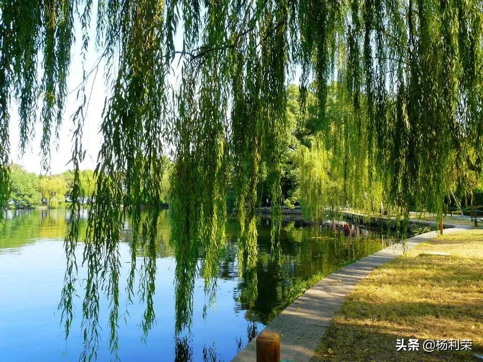 西湖古诗大全（关于西湖的古诗分享） 第21张