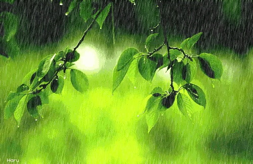 带有雨的诗句有哪些（带雨字的古诗词） 第1张